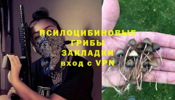 дмт Майский