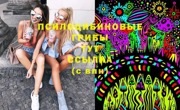 дмт Майский
