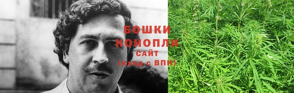 не бодяженный Новозыбков