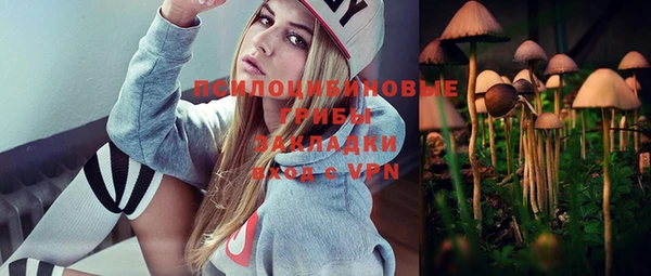 не бодяженный Магадан