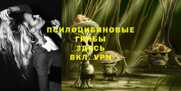 не бодяженный Магадан
