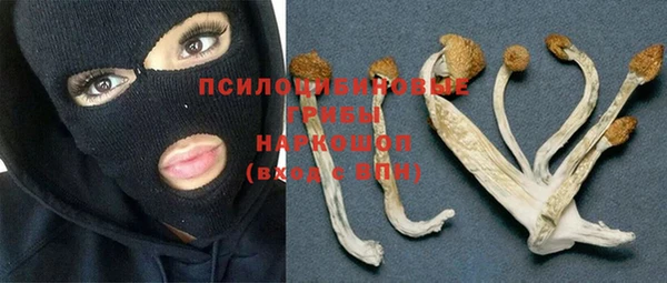 дмт Майский
